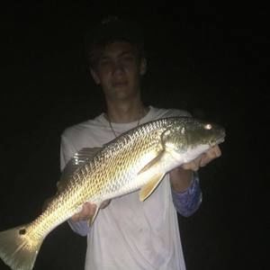 Meet your Posher, Jared